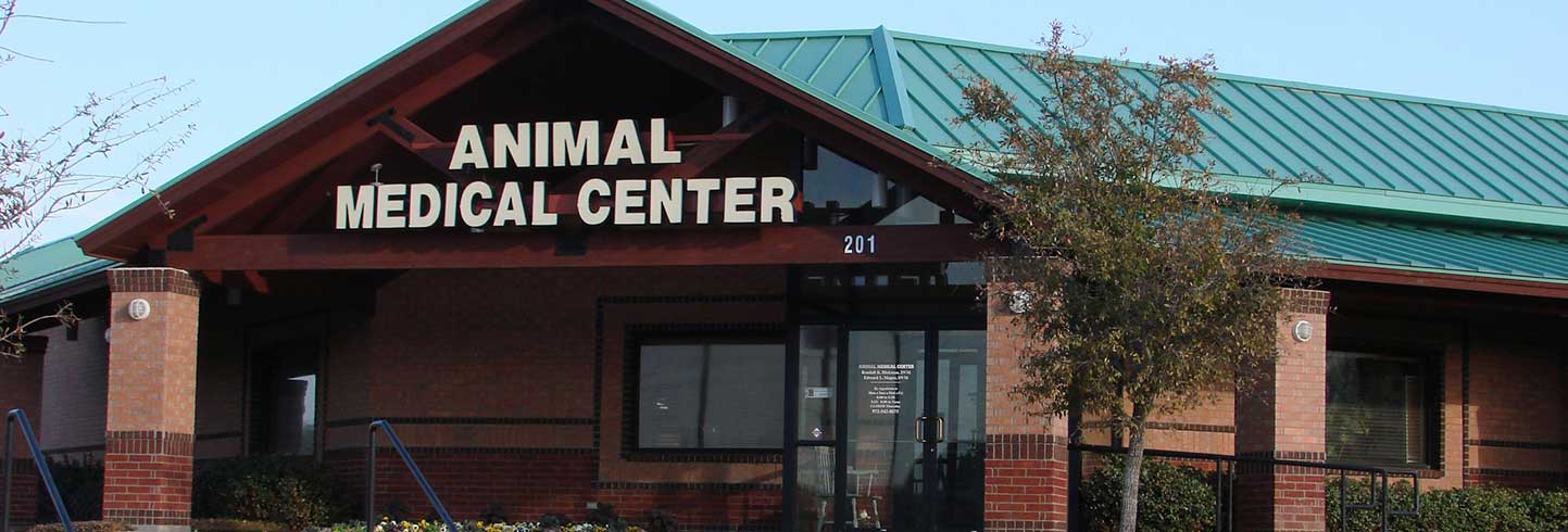 Welcome to Animal Medical Center of McKinney!