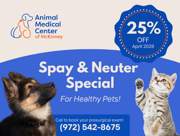 Give Your Puppy or Kitten a Healthier Future: 25% Off Spay/Neuter Procedures This April!